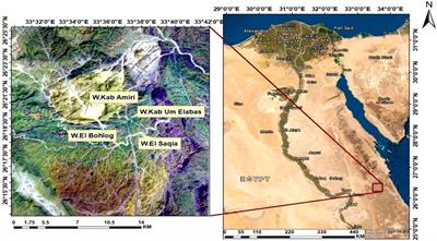 Notable changes in geochemical and mineralogical characteristics of different phases of episyenitization: insights on the radioactive and shielding of the late phase